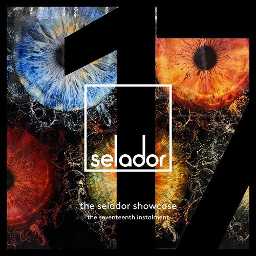 VA - The Selador Showcase - The Seventeenth Instalment [SEL163]